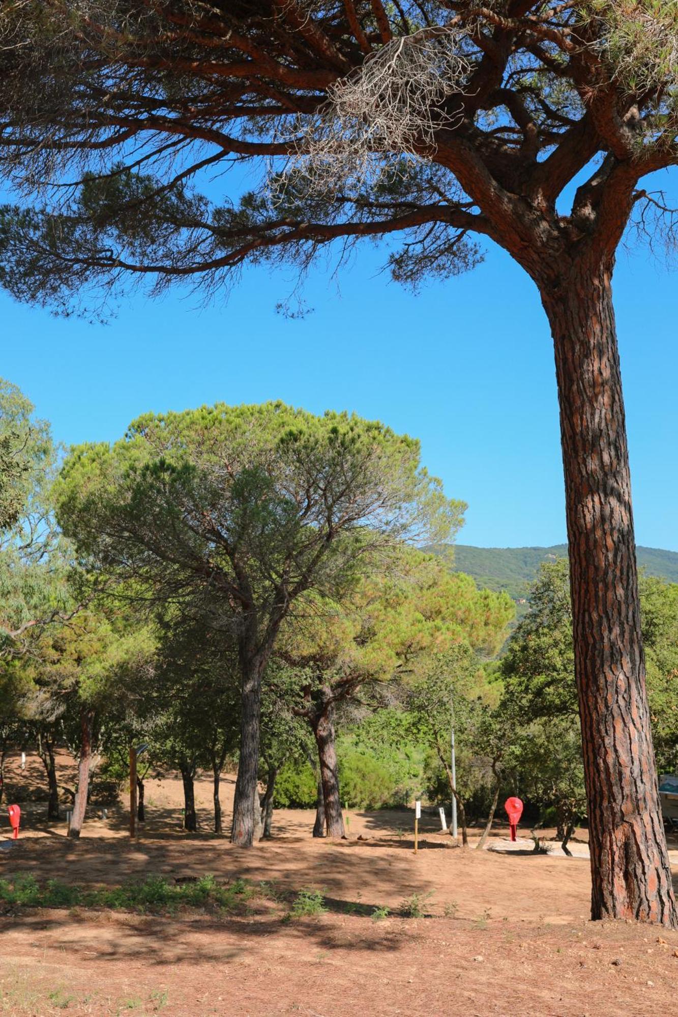 Camping Ladouceur Ramatuelle Exterior photo